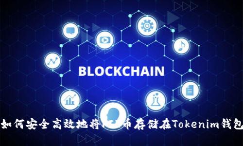 : 如何安全高效地将FIL币存储在Tokenim钱包中