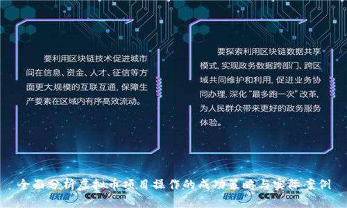 全面分析虚拟币项目操作的成功策略与实际案例
