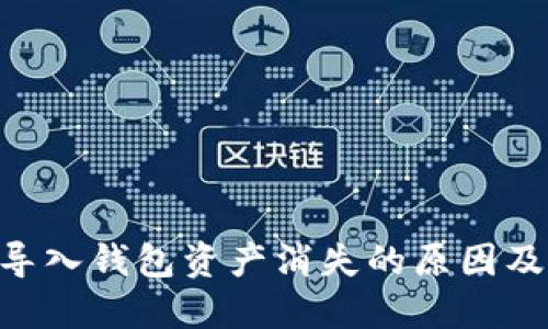 Tokenim导入钱包资产消失的原因及解决方案