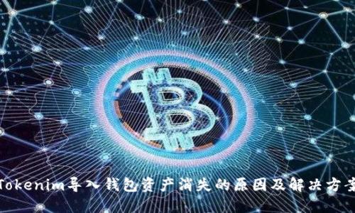 Tokenim导入钱包资产消失的原因及解决方案