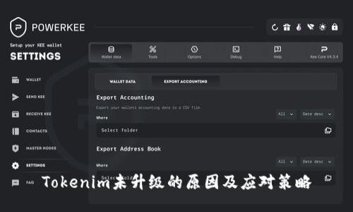 Tokenim未升级的原因及应对策略