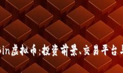 全面解析Bin虚拟币：投资