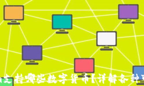 
Tokenim支持哪些数字货币？详解各种可存币种