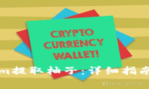 如何通过Tokenim提取柚子：详细指南与常见问题解析