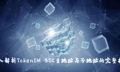 深入解析TokenIM BTC主地址与子地址的完整指南