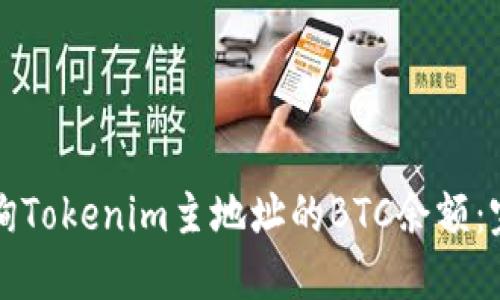 如何查询Tokenim主地址的BTC余额：完整指南
