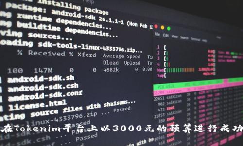 如何在Tokenim平台上以3000元的预算进行成功投资