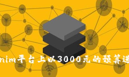 如何在Tokenim平台上以3000元的预算进行成功投资