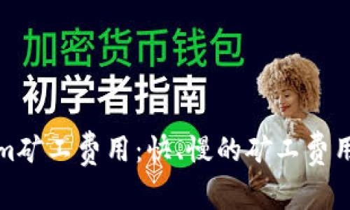 如何Tokenim矿工费用：快、慢的矿工费用详解与对比