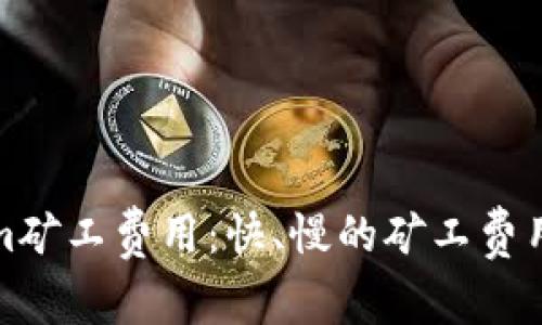 如何Tokenim矿工费用：快、慢的矿工费用详解与对比