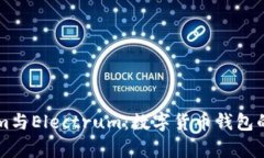 深入探讨Tokenim与Electrum：数字货币钱包的全面对