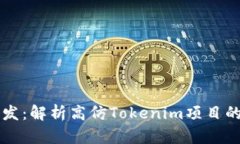 i高仿Tokenim开发：解析高仿Tokenim项目的生态和技
