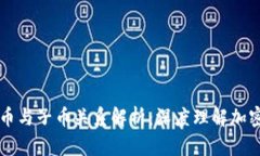 虚拟币中的母币与子币关系解析：深度理解加密