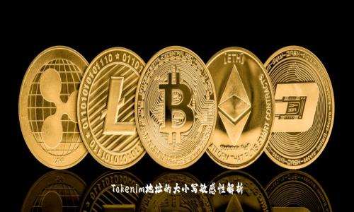 Tokenim地址的大小写敏感性解析