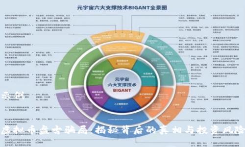 示例


虚拟币盘古骗局：揭秘背后的真相与投资风险