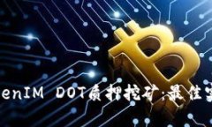 : 深入了解TokenIM DOT质押挖矿：最佳实践与收益分