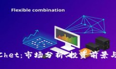 : 虚拟币Chet：市场分析、投资前景与风险评估