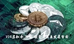 VIG虚拟币：理解、投资与未来发展分析