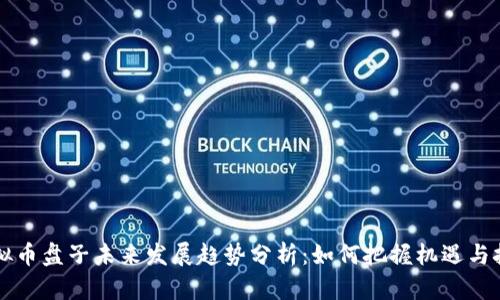 虚拟币盘子未来发展趋势分析：如何把握机遇与挑战