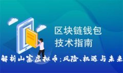 全面解析山寨虚拟币：风险、机遇与未来发展