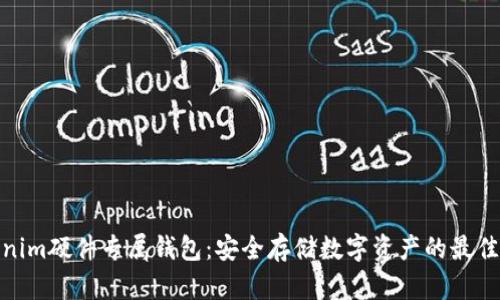 Tokenim硬件专属钱包：安全存储数字资产的最佳选择