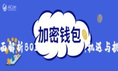 全面解析BOID虚拟币挖矿：机遇与挑战