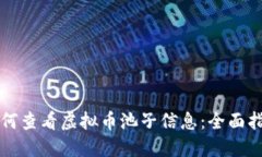 如何查看虚拟币池子信息：全面指南