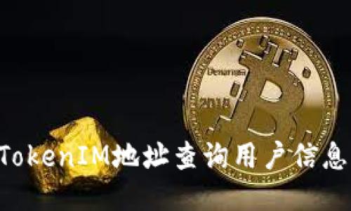 如何通过TokenIM地址查询用户信息：全面指南