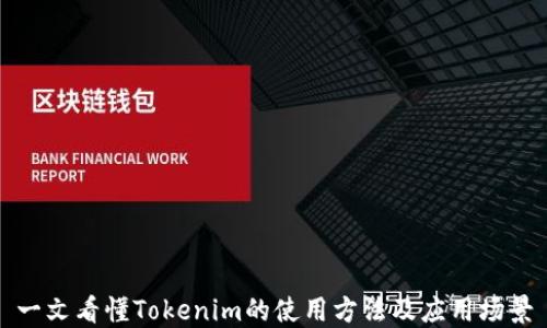 
一文看懂Tokenim的使用方法及应用场景