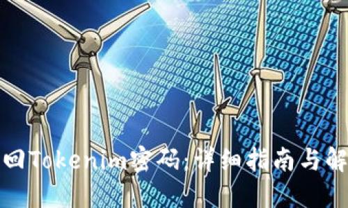 如何找回Tokenim密码：详细指南与解决方案