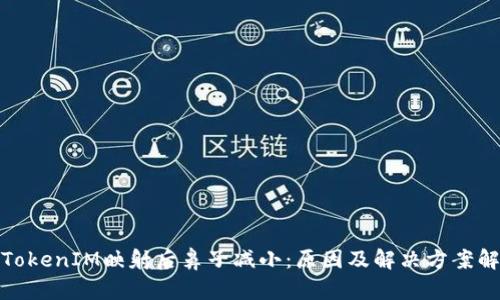 : TokenIM映射后鼻子减小：原因及解决方案解析
